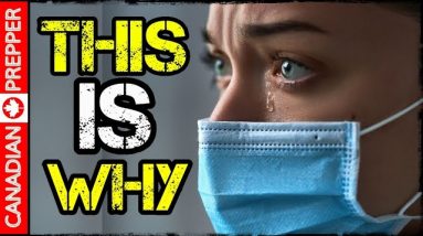 My Theory about Whats Coming: Prepare for the Worst