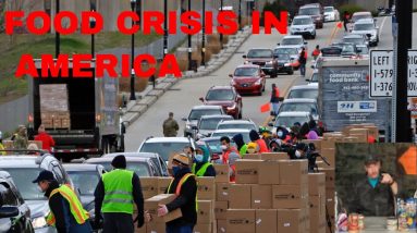 Food Crisis in America: In sane and Bizarre things Happen in the US! What can we do as Americans?