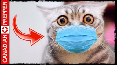 Preppers Right Now...