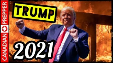 Trump Isn't Going Anywhere: This is Why