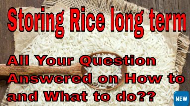 Storing Rice Long Term All Your Question Answered On How To And What To Do Unlock The Secret To Rice