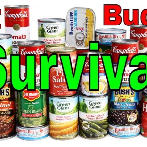 Best Budget Survival Can Goods Three Test Process To Insure Safety How to know if there still good?