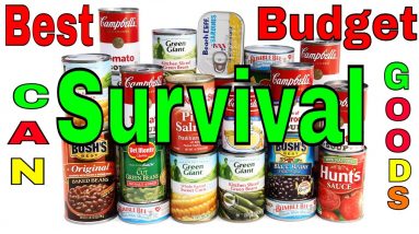 Best Budget Survival Can Goods Three Test Process To Insure Safety How to know if there still good?
