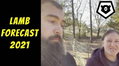 Homestead Lamb Forecast 2021!