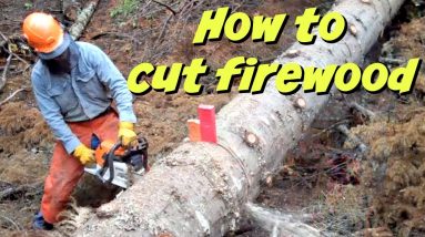 How To Cut Firewood like A PRO