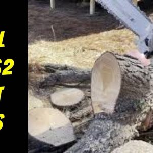Stihl MS362 Homestead Chainsaw: First Cuts