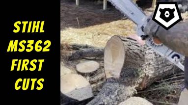 Stihl MS362 Homestead Chainsaw: First Cuts