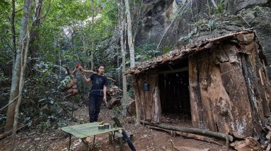 Find Food And Water In The Rainforest, Survival Instinct, Bushcraft, Kêm Mun, Survival Skills, Ep 26