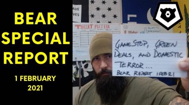 GameStop, Green Deals & Domestic Terror - Bear Report 1 FEB 21