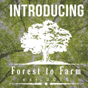 Introducing Forest to Farm | Building a Homestead Farm