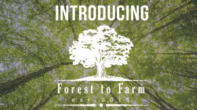 Introducing Forest to Farm | Building a Homestead Farm