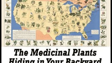 the lost book of remedies review - the best Natural home remedies - survival book