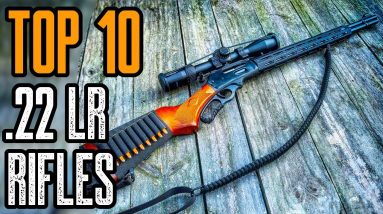 TOP 10 BEST .22LR RIFLES for Hunting & Self Defense