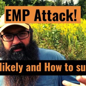 EMP Attack! How likely and how to survive.