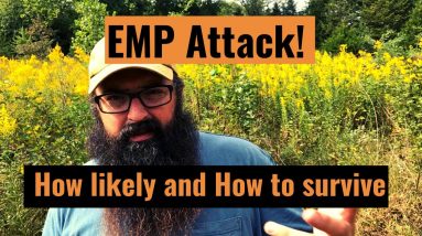 EMP Attack! How likely and how to survive.