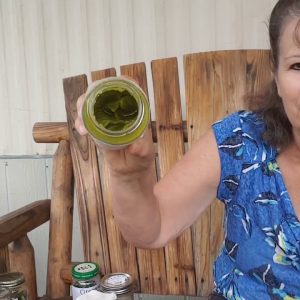 Herbs-- for Survival?