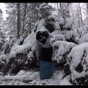 New Action Movies 2021 - Primitive Life,Primitive Survival Shelter Build