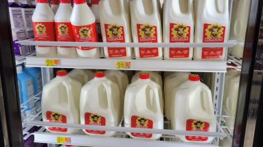 Walmart Food Preps & Prices | Tracking Inflation / Price Increases | Walmart Store Shelves