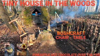 PRIMITIVE MOSS ROOF STEALTH SHELTER - Build Survival Tiny House - BUSHCRAFT SKILLS - Winter Camping