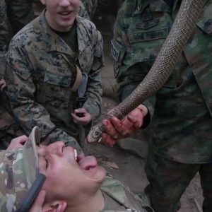 EXTREME FOODS | jungle SURVIVAL FOOD | Edible food in the forest