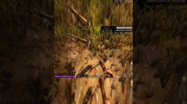 Hunting prehistoric chickens for food - ARK: Survival Evolved