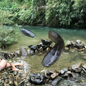 Survival Skills: Using Fish Nests as Traps to Catch Big Clam - Fishing Skills Of Smart Girl