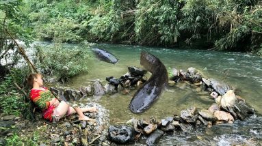 Survival Skills: Using Fish Nests as Traps to Catch Big Clam - Fishing Skills Of Smart Girl