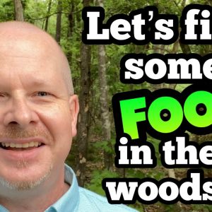 Survival Food: Foraging for Wild Edibles - Springtime Edible Plants