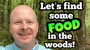 Survival Food: Foraging for Wild Edibles - Springtime Edible Plants