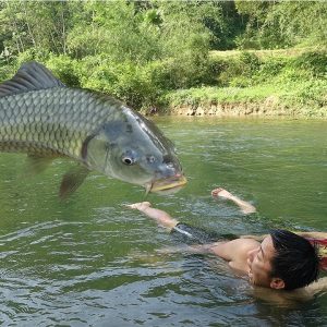 Unique Fishing: Survival Skills Catch Fish At River For Food