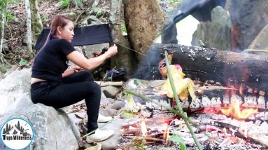 Survival Skill Trapping wild Chicken, Cooking and eating delicious in forest