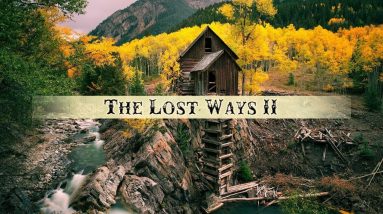 The Lost Ways 2 Survival Book – By Claude Davis - The Lost Ways Saving Our Forefathers Skills