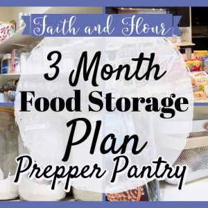 Preparing for a 3 Month Food Supply | Prepper Pantry 2021 | Building an Extended Pantry