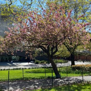 A Walk & Talk To Work