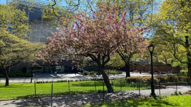 A Walk & Talk To Work