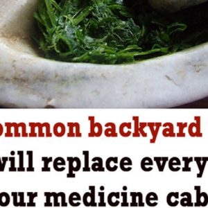Herbal Remedy - The Only Tree Every Prepper Should Grow in His Own Backyard
