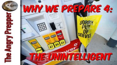 Why We Prepare 4:  The Unintelligent