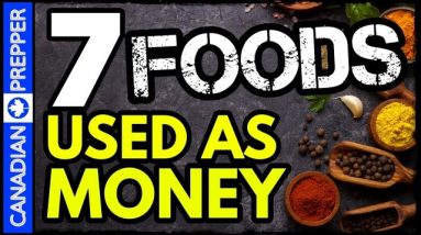 7 Things Worth More Than Gold After It Hits the Fan