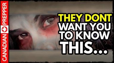 A Terrifying Glimpse Into the Future