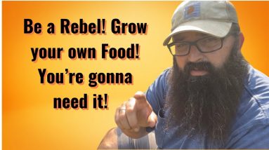 Be a Rebel! Grow your own Food!! You’re gonna need it!
