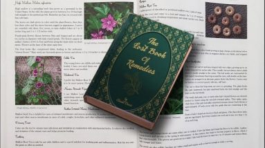 🌿 The Lost Book of Herbal Remedies 🍀 The Healing Power of Plant Medicine Book Buy !! [ REVIEW ]