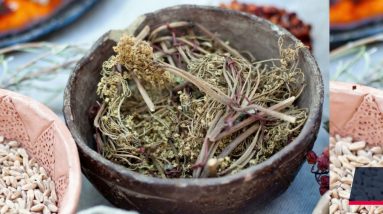 Medicinal Herbs Book: The Lost Ways Of Herbal Remedy