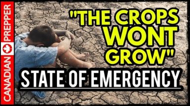 Prepare For Food Riots: Widespread Crop Failure