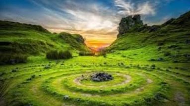 The Pros and Cons of The Lost Book of Herbal Remedies