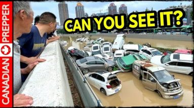 The World is Collapsing: Dark Times Are Coming