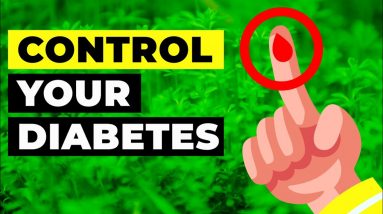The Best 7 herbs to control your Diabetes - Home Remedies to control Diabetes