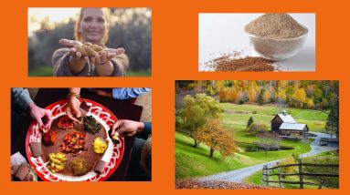 Food Security *Manna* Back To Eden