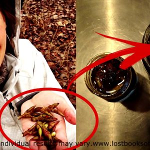 Lost Book Of Remedies By Claude Davis, Sr. and Nicole Apelian