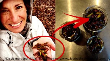 Lost Book Of Remedies By Claude Davis, Sr. and Nicole Apelian