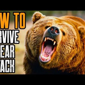 HOW TO SURVIVE A BEAR ATTACK | BEST TIPS TO SURVIVE A GRIZZLY BEAR ATTACK